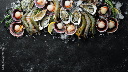 Seafood. Oysters, scallops, shrimp. Top view. On a black background. Free copy space.