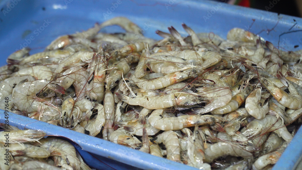 Fresh shrimps in a plastic basket at a seafood market in Philippines. Fish market in asia.