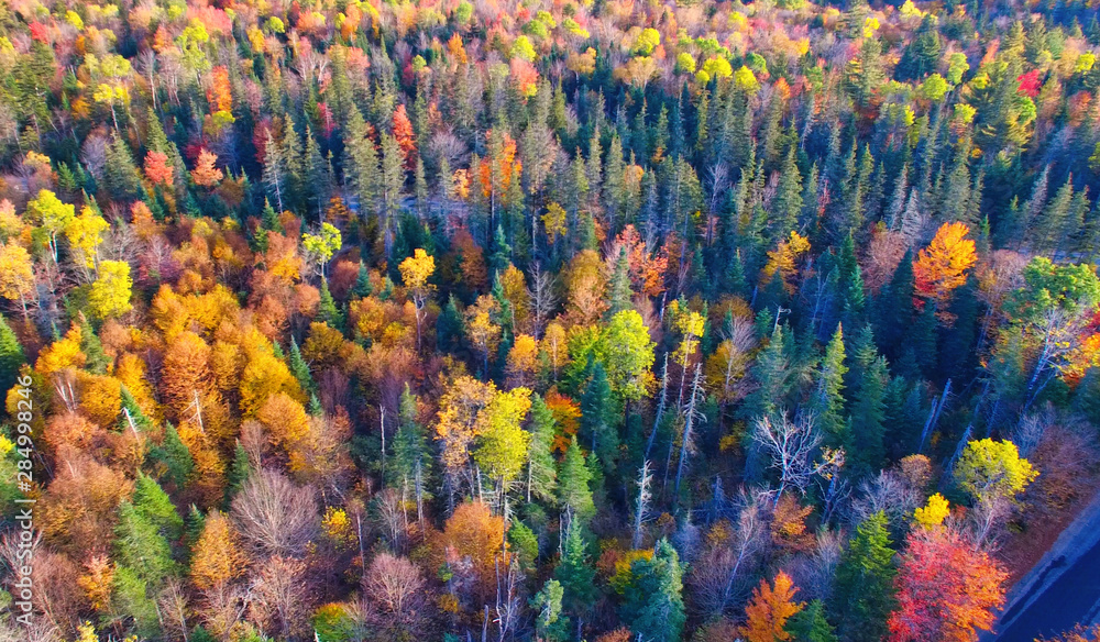 Colourful autumn colours in forest from a high viewpoint, captured with a drone Colourful autumn colours in forest from a high viewpoint, captured with a drone