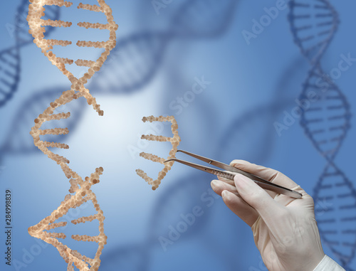 Fotografie The DNA molecule