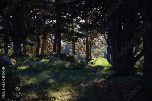 Tente verte de bivouac sous les arbres avec soleil levant pour camper et randonner en montagne