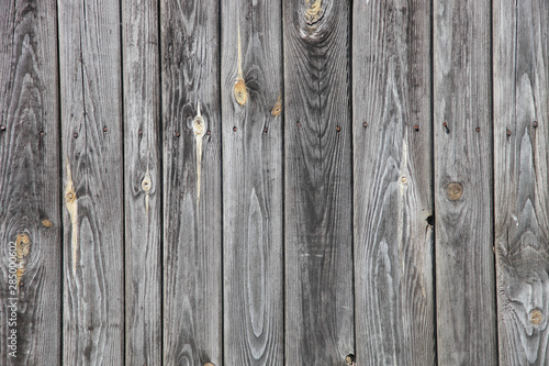 Natural wood texture