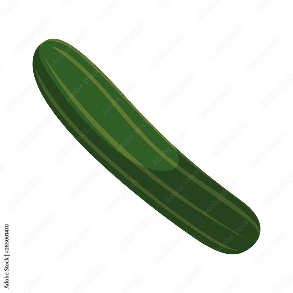 cucumber cooking icon on white background cucumber cooking icon on white background