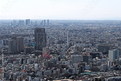 Photography View of residential area in Tokyo