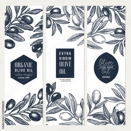 Olive oil vertical design templates. Packaging label collection. Vector illustration