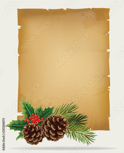 Vector branch of Christmas tree with pine cone and old paper scroll