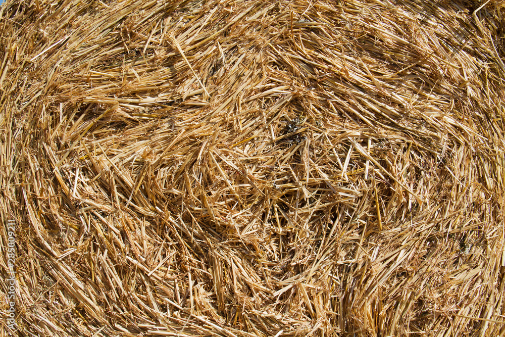Closeup of a circular bale of hay, straw background and texture Closeup of a circular bale of hay, straw background and texture