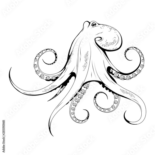Hand Drawn Octopus. Sea Food. Octopus. Sea Fish.Tasty Seafood. Ocean Sport Fishing. Fresh Seafood Product. Delicious Octopus. Fish Meal Diet. Big Best Octopus. Fishing. Vector graphics to design.