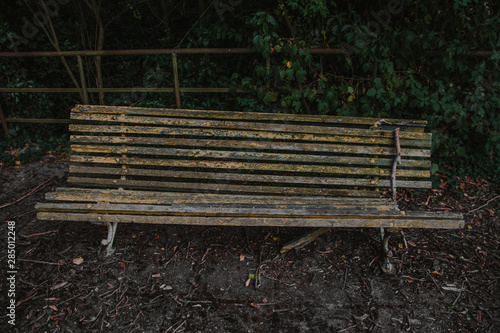Old bench