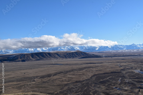 Landscape with mountain and field in New Zealand