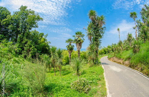 Georgia, Batumi - Botanical garden