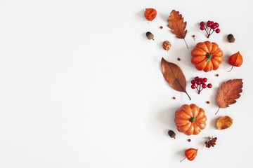 Autumn composition. Dried leaves, pumpkins, flowers, rowan berries on white background. Autumn, fall, halloween, thanksgiving day concept. Flat lay, top view, copy space