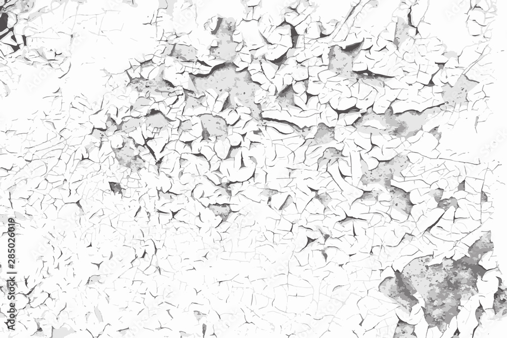 Obraz premium Cracked old paint vector black and white texture