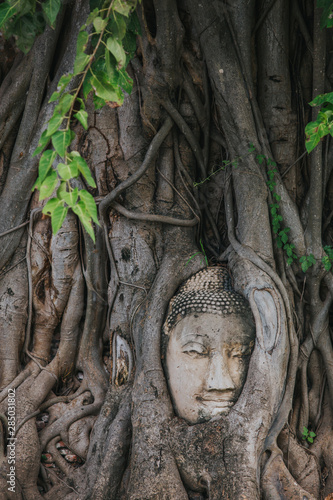 Photography Amazing details of the Wat Maha That temple with the ruins of the Buddha statues