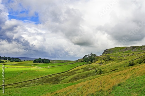 Austwick meadow path to the Norber Erratics 4, Austwick, Yorkshire Dales, England