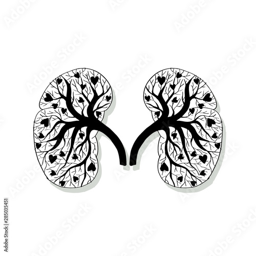 Human kidneys hand drawing illustration.
