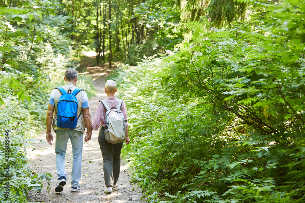 Rear view of senior couple with backpacks holding hands and walking in nature in the forest they have adventure trip Rear view of senior couple with backpacks holding hands and walking in nature in the forest they have adventure trip