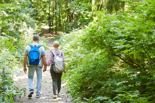 Rear view of senior couple with backpacks holding hands and walking in nature in the forest they have adventure trip