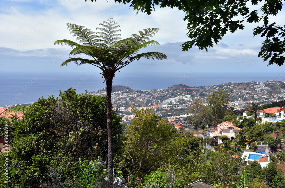 Panoramic view on the Funchal city - Madeira Island, Portugal. 