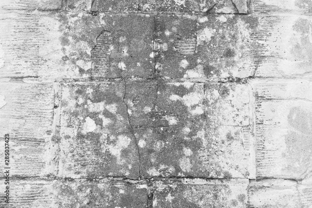 Fototapeta premium Beautiful vintage background. Abstract grunge decorative stucco wall texture. Wide rough background with copy space for text.