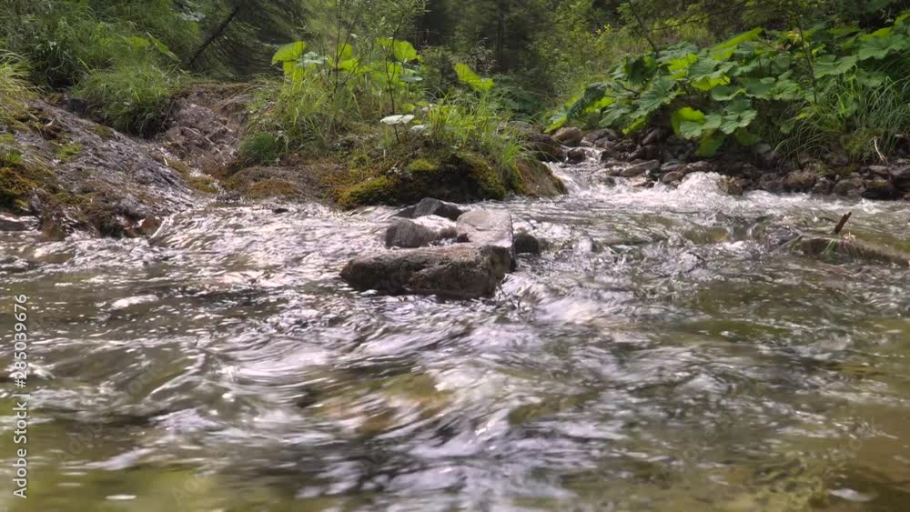 Fresh Water Creek Flows in Nature. Low Angle Stream Shot Fresh Water Creek Flows in Nature. Low Angle Stream Shot