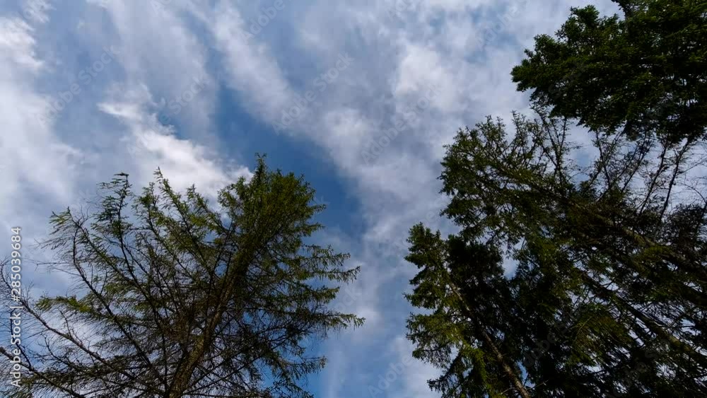 Timelapse of Clouds and Skyline Over Conifer Trees in Mountain on Summer Day Timelapse of Clouds and Skyline Over Conifer Trees in Mountain on Summer Day