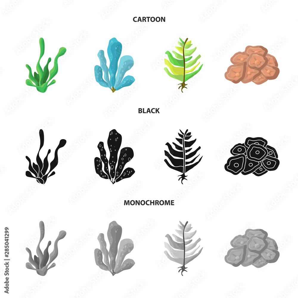 Vector illustration of biodiversity and nature symbol. Collection of biodiversity and wildlife stock symbol for web.