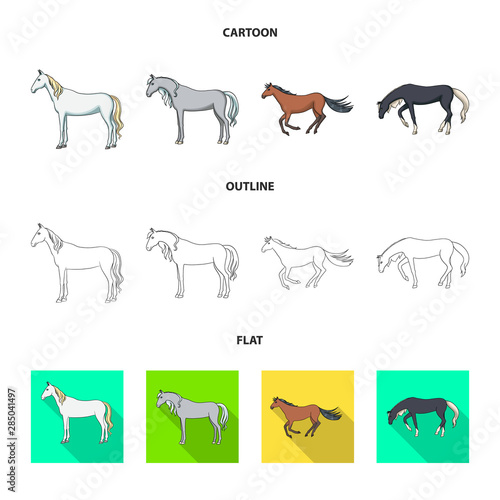 Vector illustration of breed and equestrian icon. Collection of breed and mare stock symbol for web.