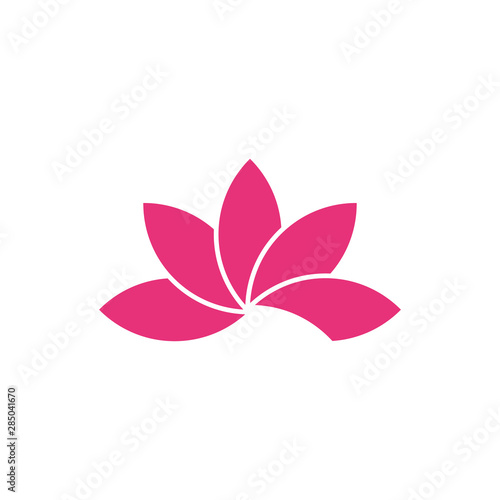 lotus rose flat