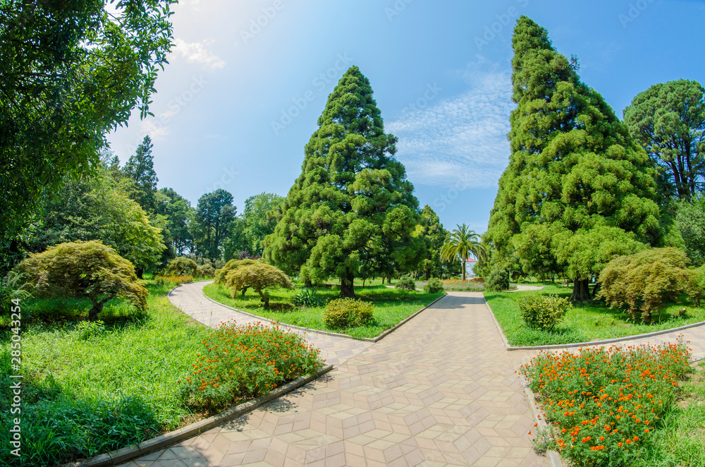 Georgia, Batumi - Botanical garden
