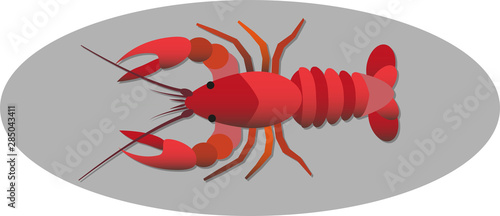 Crayfish. A traditional dish at the Swedish crayfish party in August.