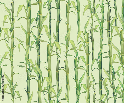 Seamless pattern. Bamboo thicket