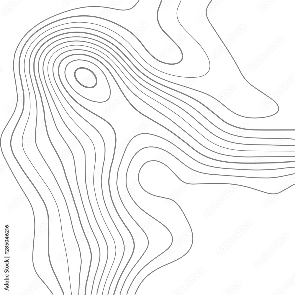 Fototapeta Topographic map. Contour abstract background. Vector illustration.