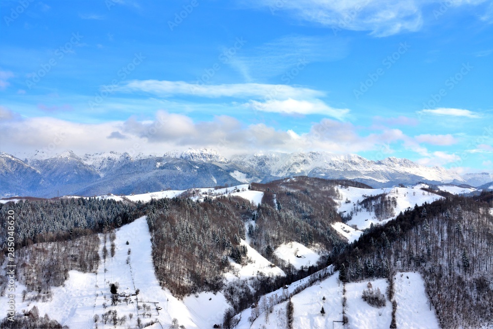 landscape with Bucegi mountains in winter