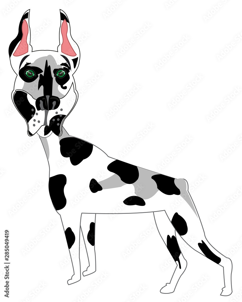Spotted doberman hotsell