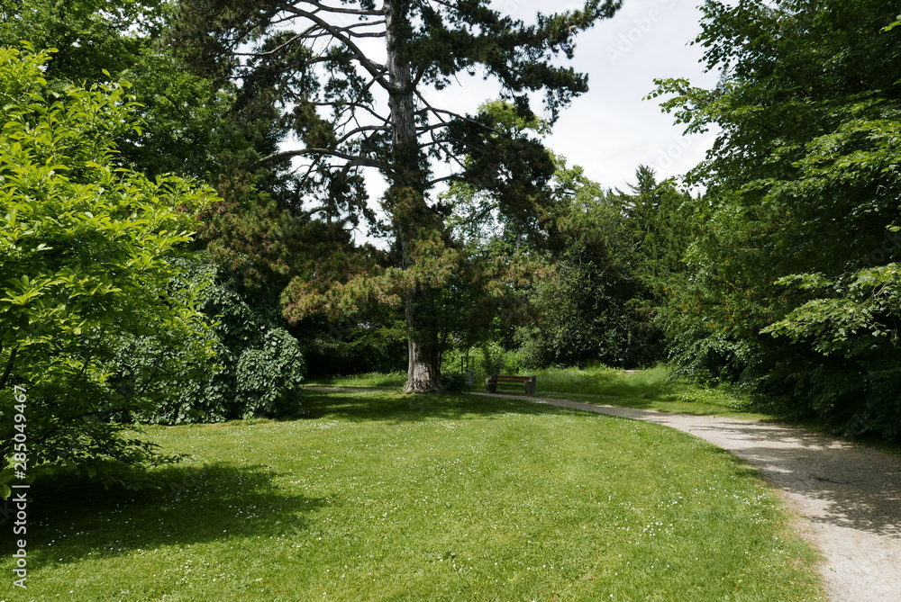 garden somewhere in swiss 1 garden somewhere in swiss 1