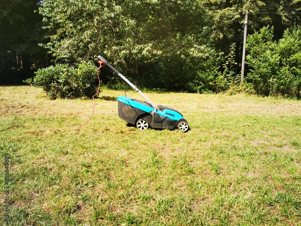 Fototapeta premium mowing the lawn