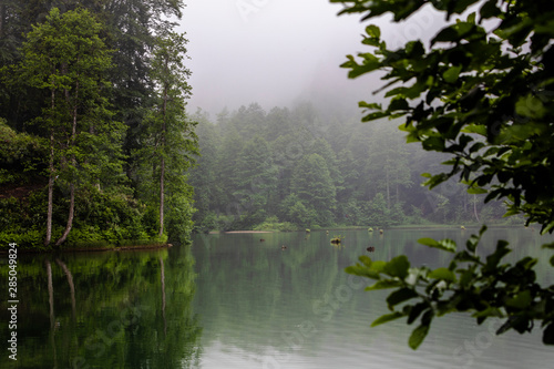 Misty Dark Lake © Evgeni Dinev
