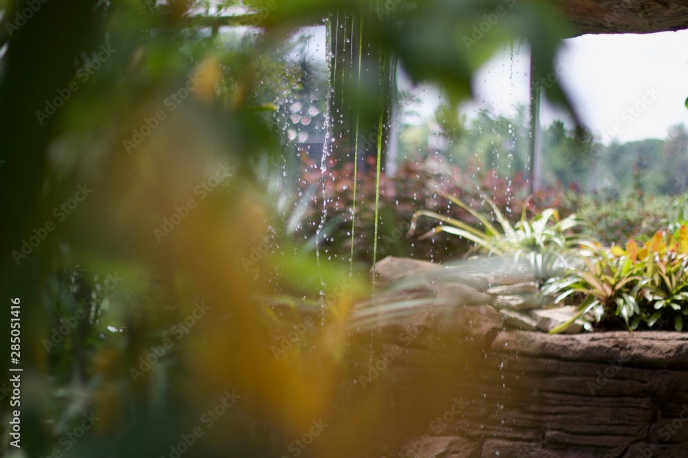 pond in garden pond in garden