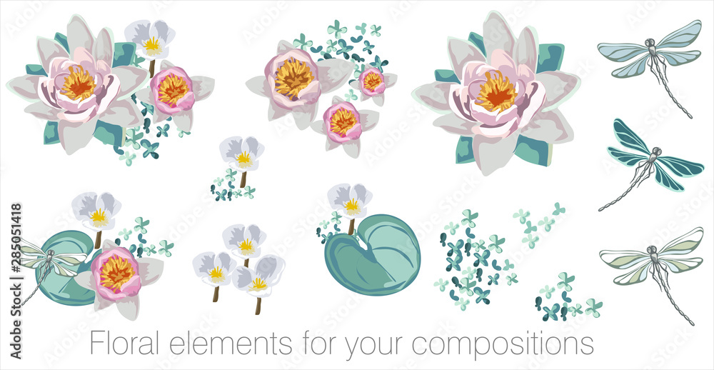 Vector floral set with leaves and flowers. Elements for your compositions, greeting cards or wedding invitations