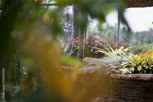 pond in garden