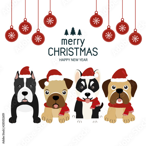 Merry Christmas greeting card with Dogs in costumes Santa Claus.