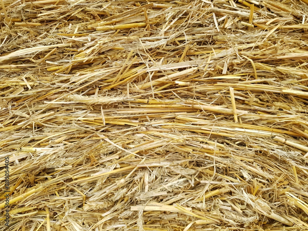 Nahaufnahme von Stroh als Bildhintergrund Nahaufnahme von Stroh als Bildhintergrund
