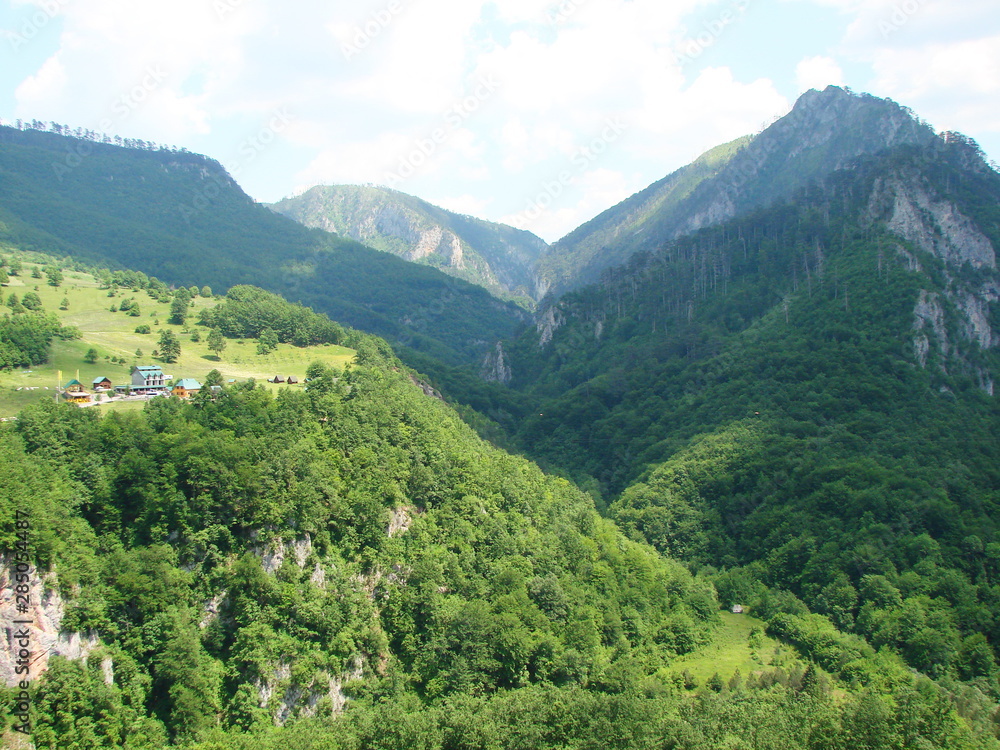 Fototapeta premium Panorama of sunny blue sky over mountain tops covered with dense green forest.