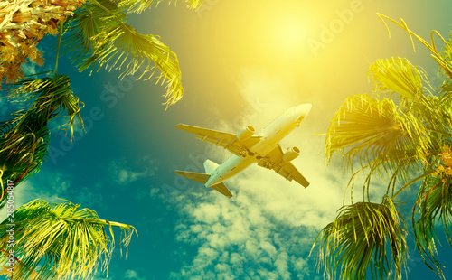 Airplane flying over tropical palm tree and sunset sky abstract background. Copy space of business summer vacation and travel adventure concept. Vintage tone filter effect color style