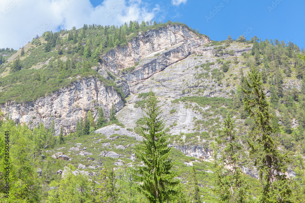 nature with coniferous trees and mountains nature with coniferous trees and mountains