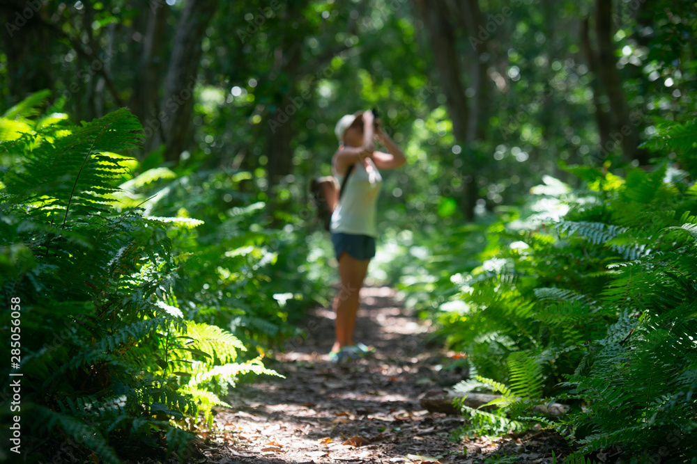 Defocused forest trail with a woman watching the birds. Defocused forest trail with a woman watching the birds.