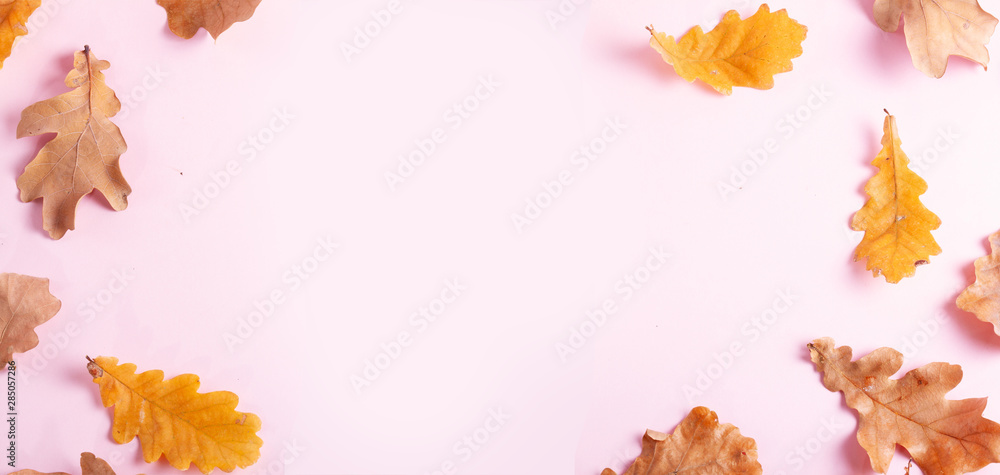 Fall leaves autumn background Fall leaves autumn background