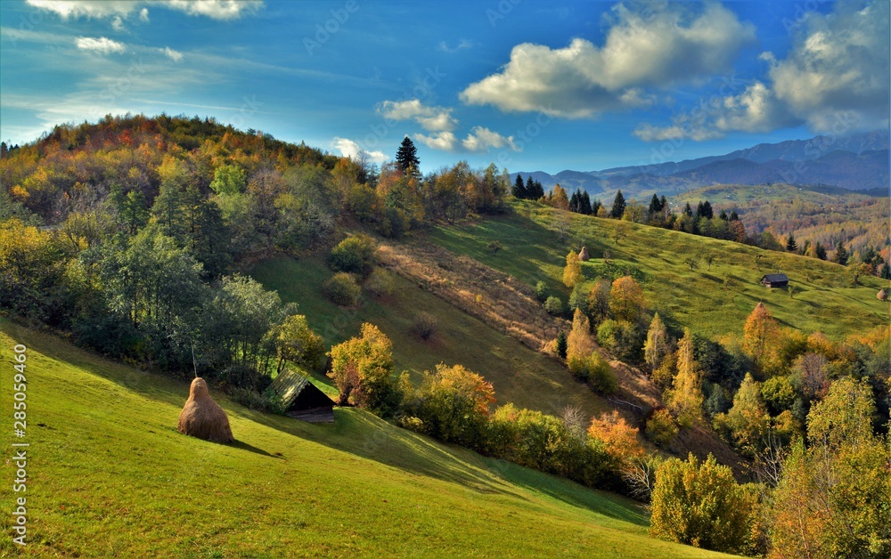 a mountain slope with autumn trees