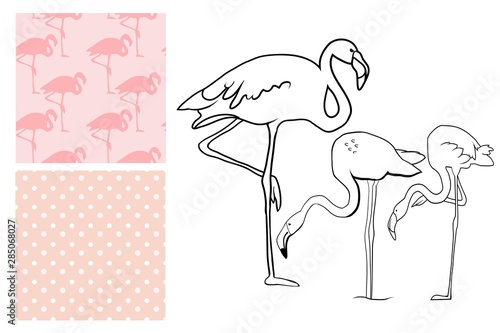 Pink Pelican and seamless patterns in gentle pastel colors, in vector